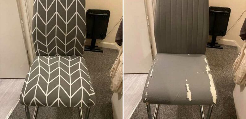 I couldn't afford to replace my beaten up chairs so found an easy solution for £3.25 – they look brand new | The Sun