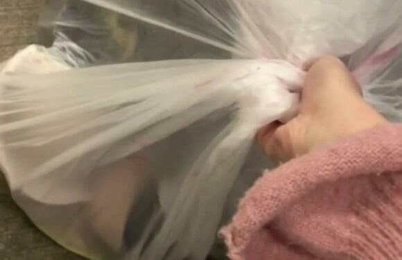 I go skip diving for underwear – it works so well, I found the cutest Victoria’s Secret set totally for free | The Sun