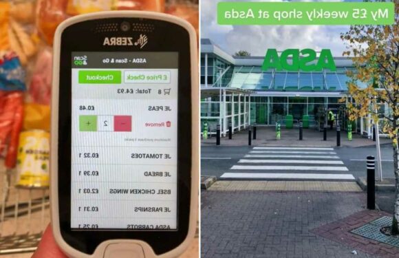 I got an entire weekly shop for just £5 in Asda – here's what I bought if you’re worried about the cost of living | The Sun