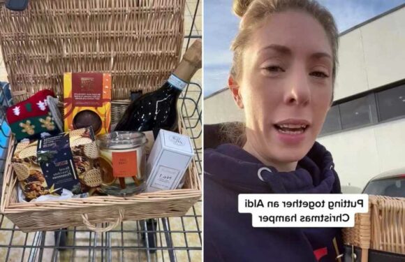 I made a Christmas hamper from Aldi on a budget and it looks so posh – here’s everything I put in | The Sun