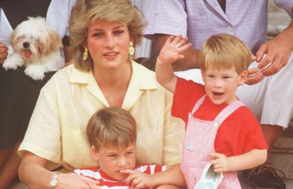 I was friends with Princess Diana – here's how she reacted when Harry asked about Camilla… The Crown got it wrong | The Sun