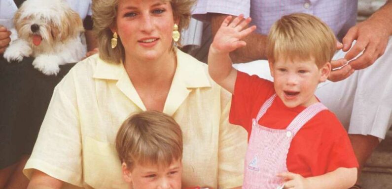 I was friends with Princess Diana – here's how she reacted when Harry asked about Camilla… The Crown got it wrong | The Sun