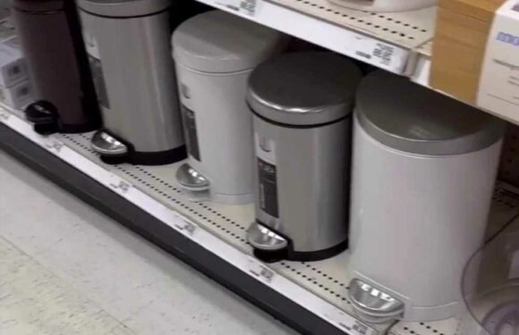 I was tired of my rubbish bin ruining my living room but then I came up with a solution – and it looks loads better | The Sun