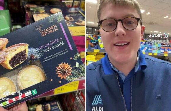 I work in Aldi – run, don't walk for these amazing Christmas food buys | The Sun