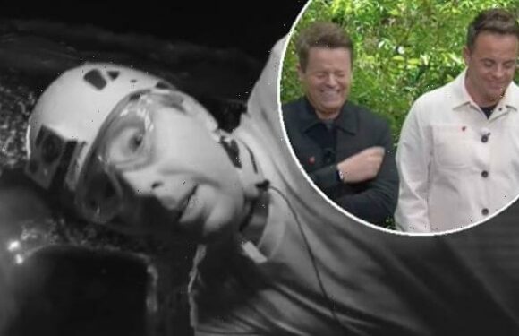 I'm A Celeb: Matt Hancock and Seann Walsh take on Bushtucker Trial