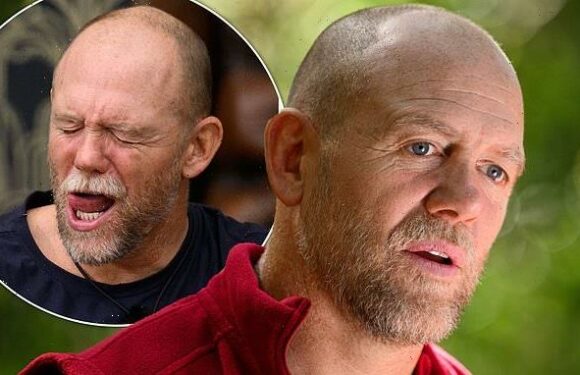 I'm A Celeb: Mike Tindall 'signed up after public speaking dried up'