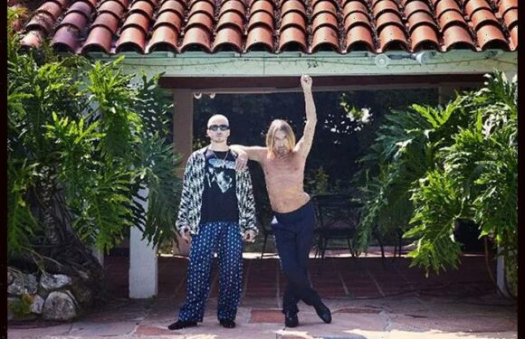 Iggy Pop Unleashes Raw New Single ‘Frenzy’