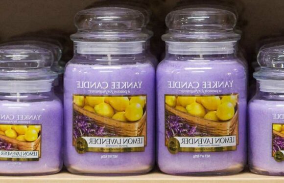 I’m a big Yankee Candle fan – the best way to pick a scent doesn't involve sniffing the product, follow my trick instead | The Sun