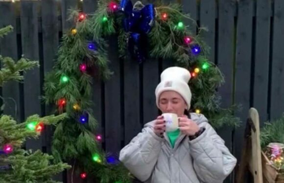 I’m a savvy mum and I made a Christmas wreath for £1.99 with a bargain buy from The Range – it's simple and looks great | The Sun