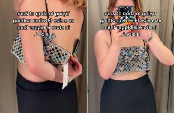 I’m a size 14 – I tried on Zara's viral sparkly top in a large and it BROKE when I put it on | The Sun
