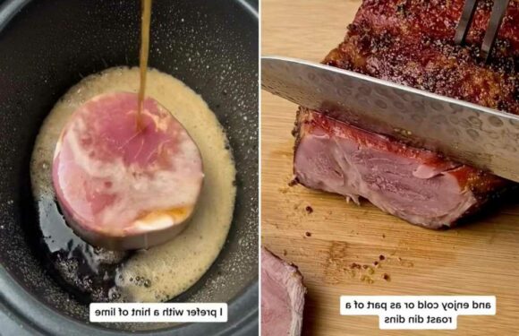 I’m a thrifty mum and have perfected my slow cooker gammon recipe – it’s all down to using a fizzy drink | The Sun