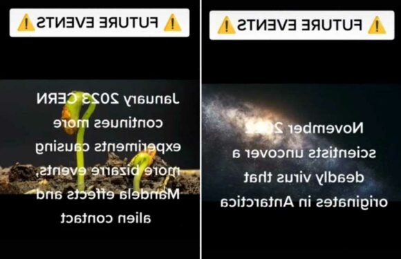 I’m a time traveller from the year 3,000 – a deadly new virus is going be discovered THIS MONTH | The Sun