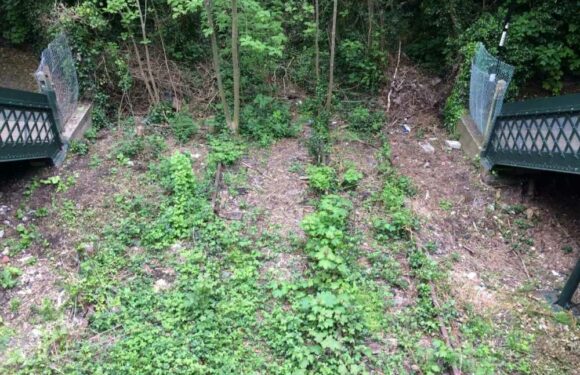 Inside creepy abandoned train station unused for 100 years that lies in hidden woodland | The Sun