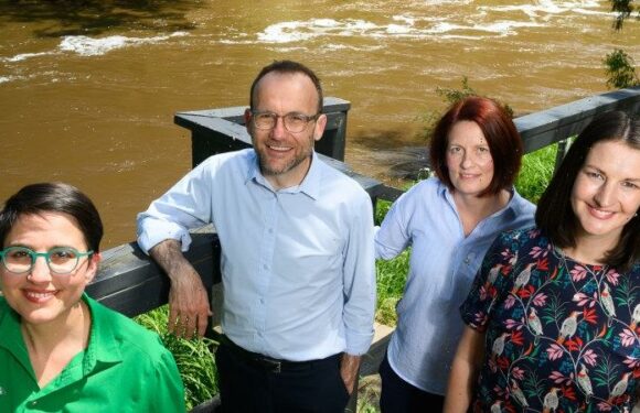 It feels ‘a little bit hairy’ now, but the Greens want to make the Yarra swimmable