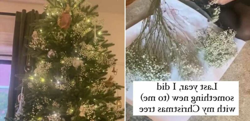 I'm a design expert – here's my cheap and easy hack for a gorgeous snowy look on your Christmas tree this year | The Sun