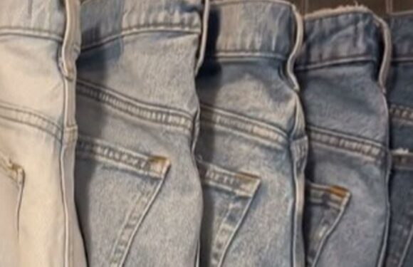 I'm a fashion vlogger – my hack organizes jeans in under 10 minutes you just need one item | The Sun