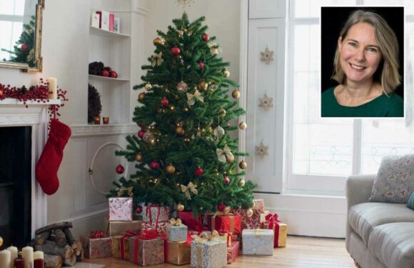 I'm a money-saving guru – here are the four things that are the biggest waste of money at Christmas | The Sun