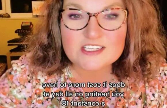 I'm a savvy mum – I tested how much it really costs to leave your heating on all day, the results will shock you | The Sun