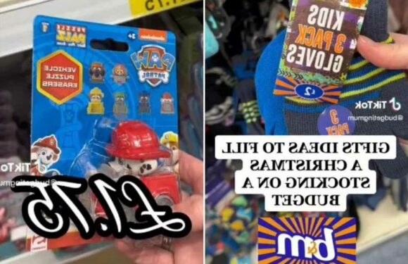 I'm a savvy mum and here's how to fill your kid's stockings for under £15 and they'll actually use everything | The Sun