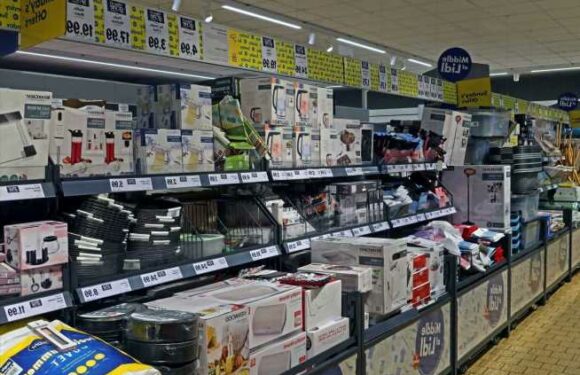 I'm a shopping guru & here's why you always spend loads in Lidl & Aldi famous middle aisle | The Sun