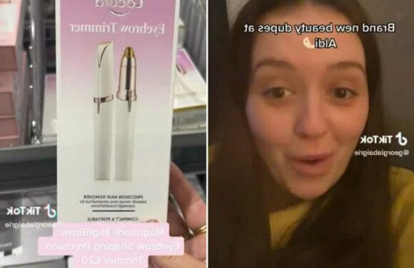 I'm a thrifty shopper and Aldi has some amazing new beauty dupes – they're perfect Christmas presents and super cheap | The Sun