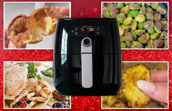 I'm an air fryer expert, the Christmas dishes to make in the gadget and the ones to avoid | The Sun
