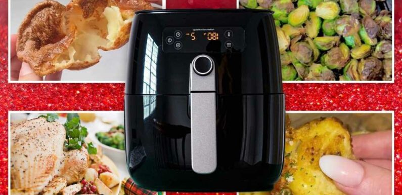 I'm an air fryer expert, the Christmas dishes to make in the gadget and the ones to avoid | The Sun