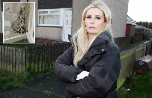 I've been forced to live separately from my kids as our council house is so disgusting – we've been through too much | The Sun