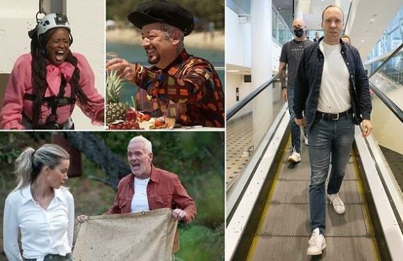 JANE FRYER: We want the jungle silverback – so hurry up, Matt!