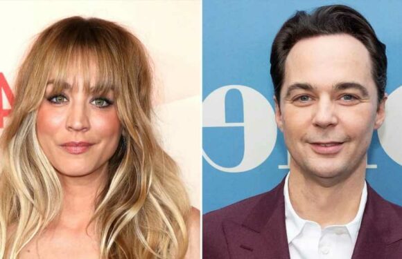 Jim Parsons Says Kaley Cuoco's Child Is 'Lucky' to Have Her for a Mother