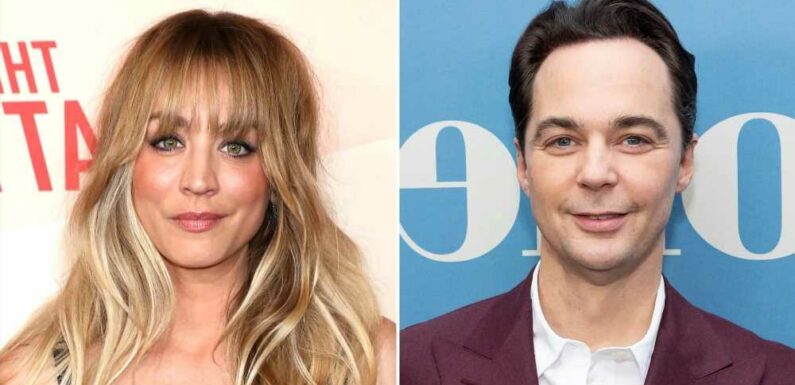 Jim Parsons Says Kaley Cuoco's Child Is 'Lucky' to Have Her for a Mother
