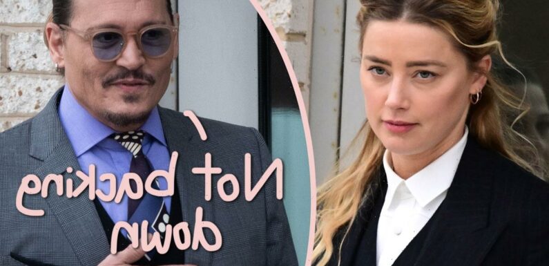 Johnny Depp Officially Appeals Amber Heard's 'Erroneous' $2 Million Defamation Trial Win!