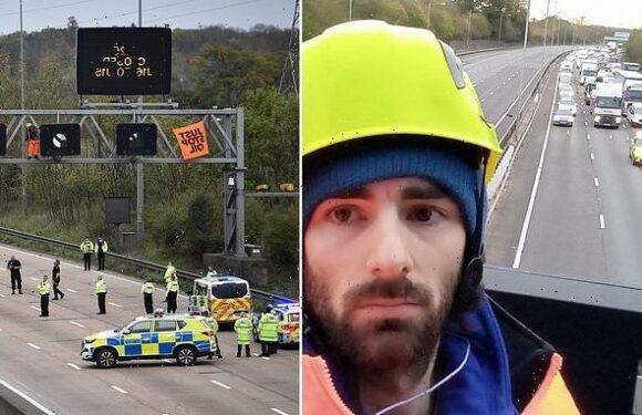 Just Stop Oil M25 protester worked for Rolls-Royce just weeks before