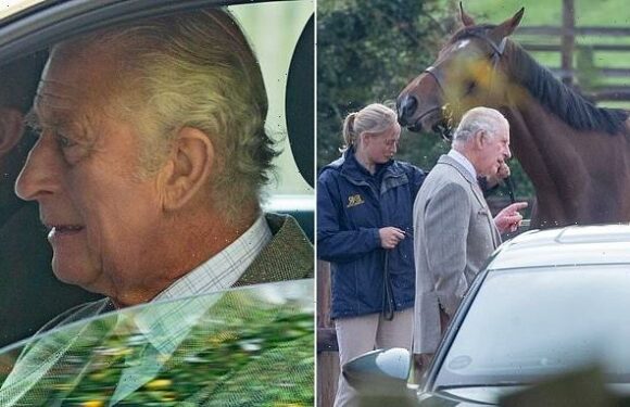 King Charles III inspects his mother's treasured racehorses