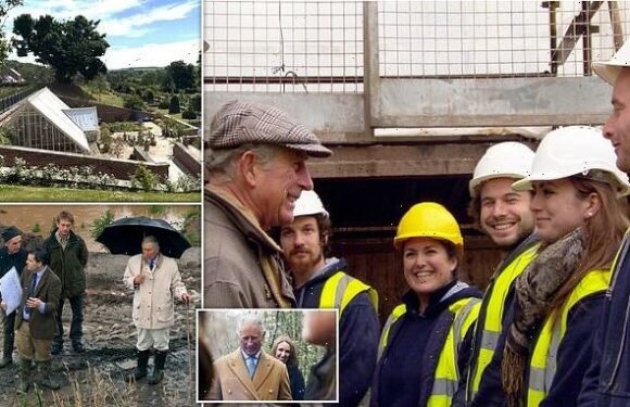 King Charles's plans to save stately home on royal 'Grand Design'