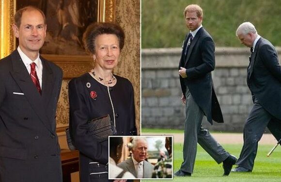 Law change to allows other Royals to deputise for King Charles III