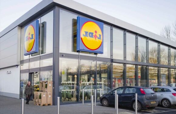 Lidl shoppers are rushing to buy 'bargain' Christmas decoration | The Sun