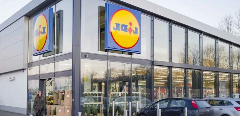 Lidl shoppers are rushing to buy 'bargain' Christmas decoration | The Sun