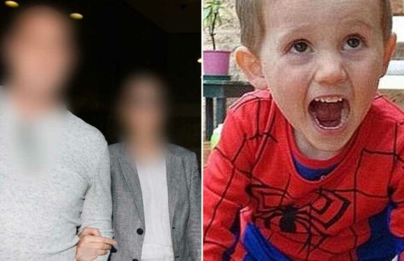 Major update in case of missing William Tyrrell dubbed 'Australia's Maddie McCann' as cop makes shock foster mum claim | The Sun