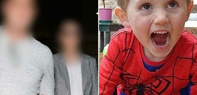 Major update in case of missing William Tyrrell dubbed 'Australia's Maddie McCann' as cop makes shock foster mum claim | The Sun