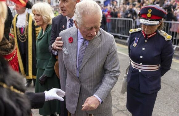 Man arrested after throwing eggs at King Charles