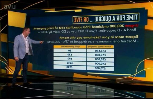 Martin Lewis reveals exact amount your take home pay will change this month using tax calculator | The Sun