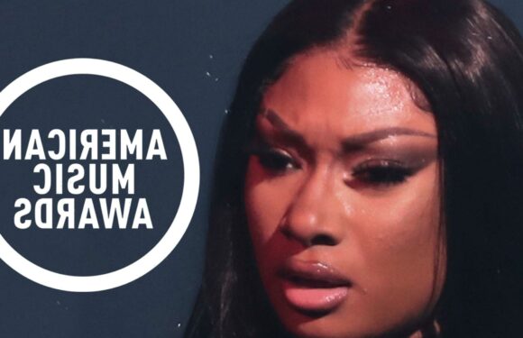 Megan Thee Stallion Gets Restraining Order Against Label Over AMAs