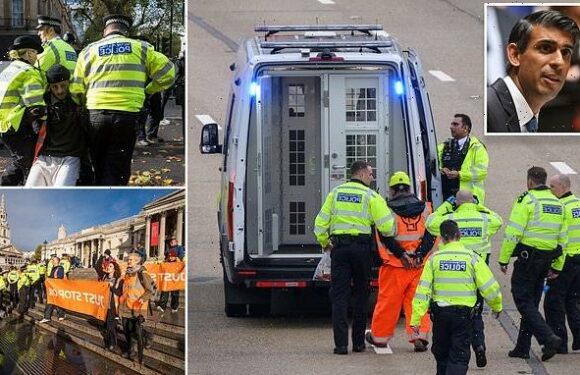 Met Police insists it's 'fully prepared' for fresh Just Stop Oil chaos