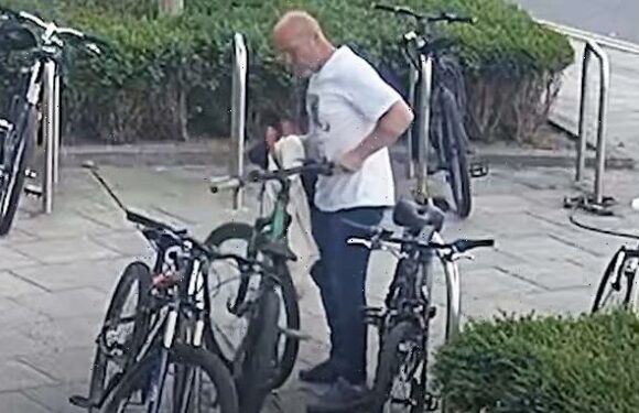 Moment brazen thief used bolt cutters and walked off with £1k bike