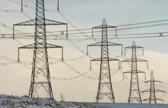 More energy firms will go bust this winter, warns British Gas boss | The Sun