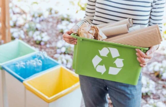 Most Brits 'overwhelmed' by info on how to be environmentally friendly as 'eco-paralysis' runs rife, poll finds | The Sun