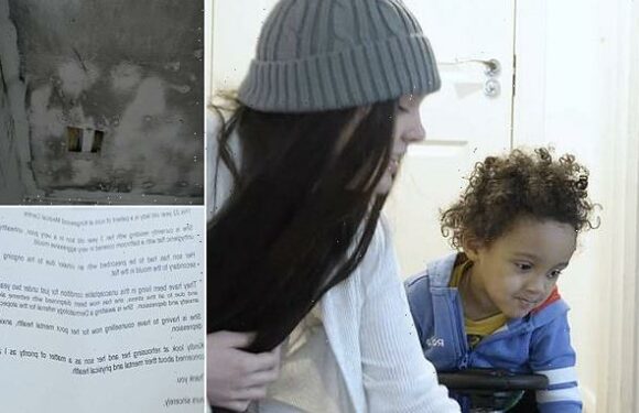 Mother, 22, says black mould-riddled home has seen son develop asthma
