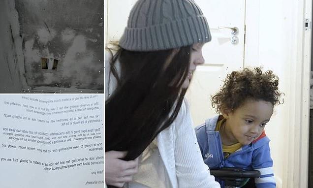 Mother, 22, says black mould-riddled home has seen son develop asthma
