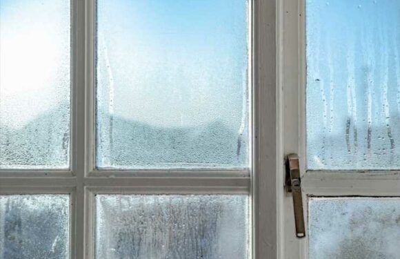 Mrs Hinch fans share £1.50 miracle product that helps to prevent condensation and mould – & say it's a 'game changer' | The Sun
